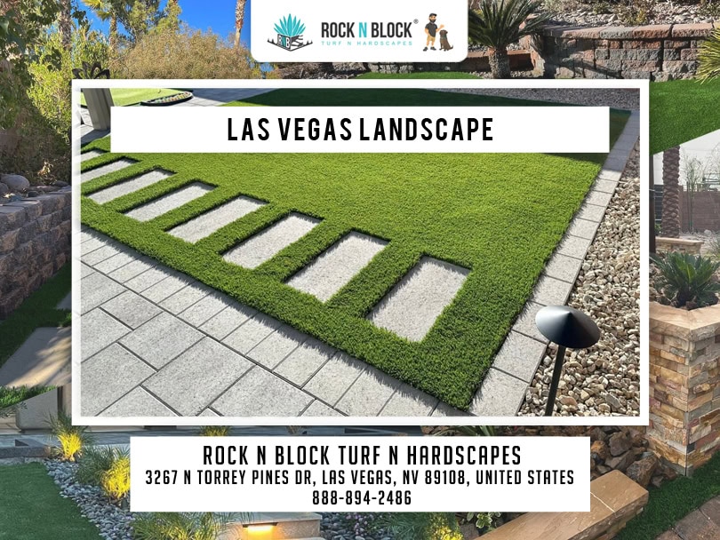 New Suburban Developments Embrace Modern Landscaping Las Vegas-Style