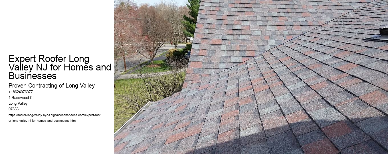 Expert Roofer Long Valley NJ for Homes and Businesses