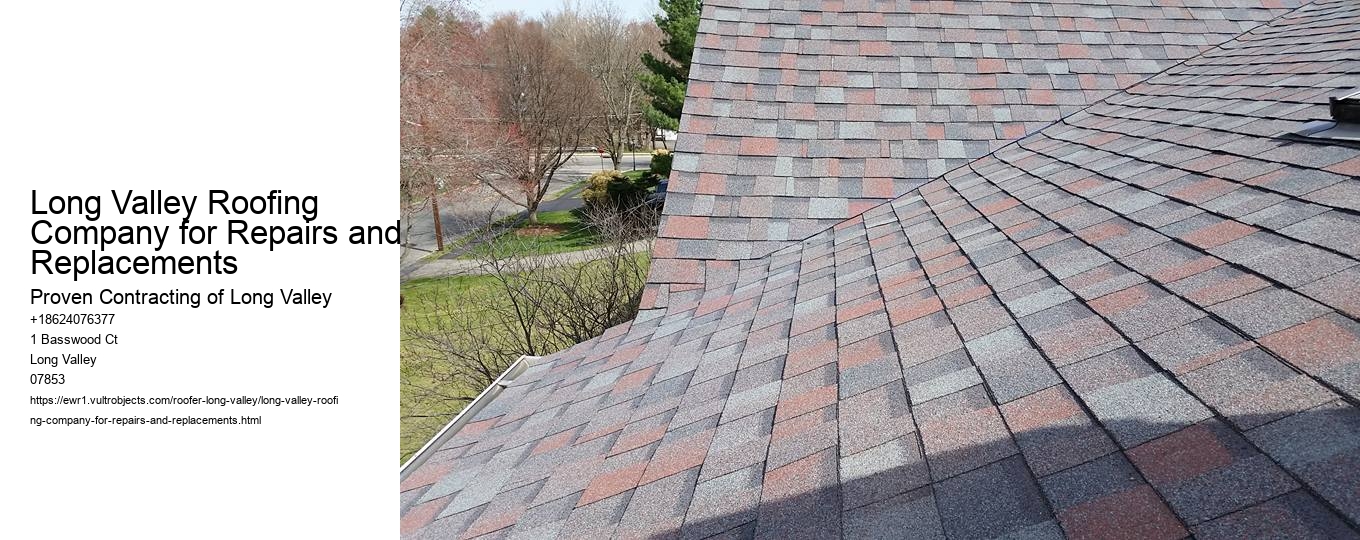 Long Valley Roofing Company for Repairs and Replacements