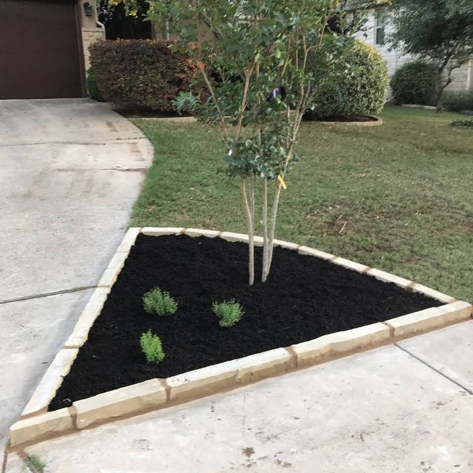 Is it better to fertilize before or after rain