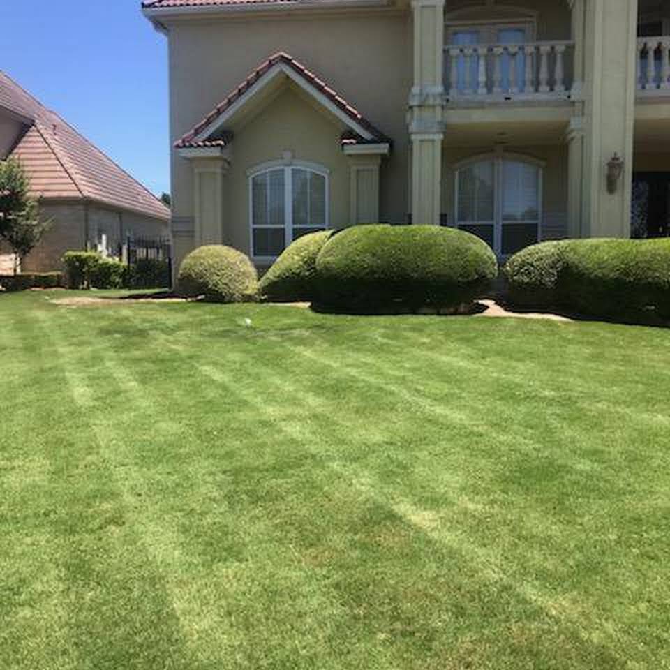 E C Lawn Care