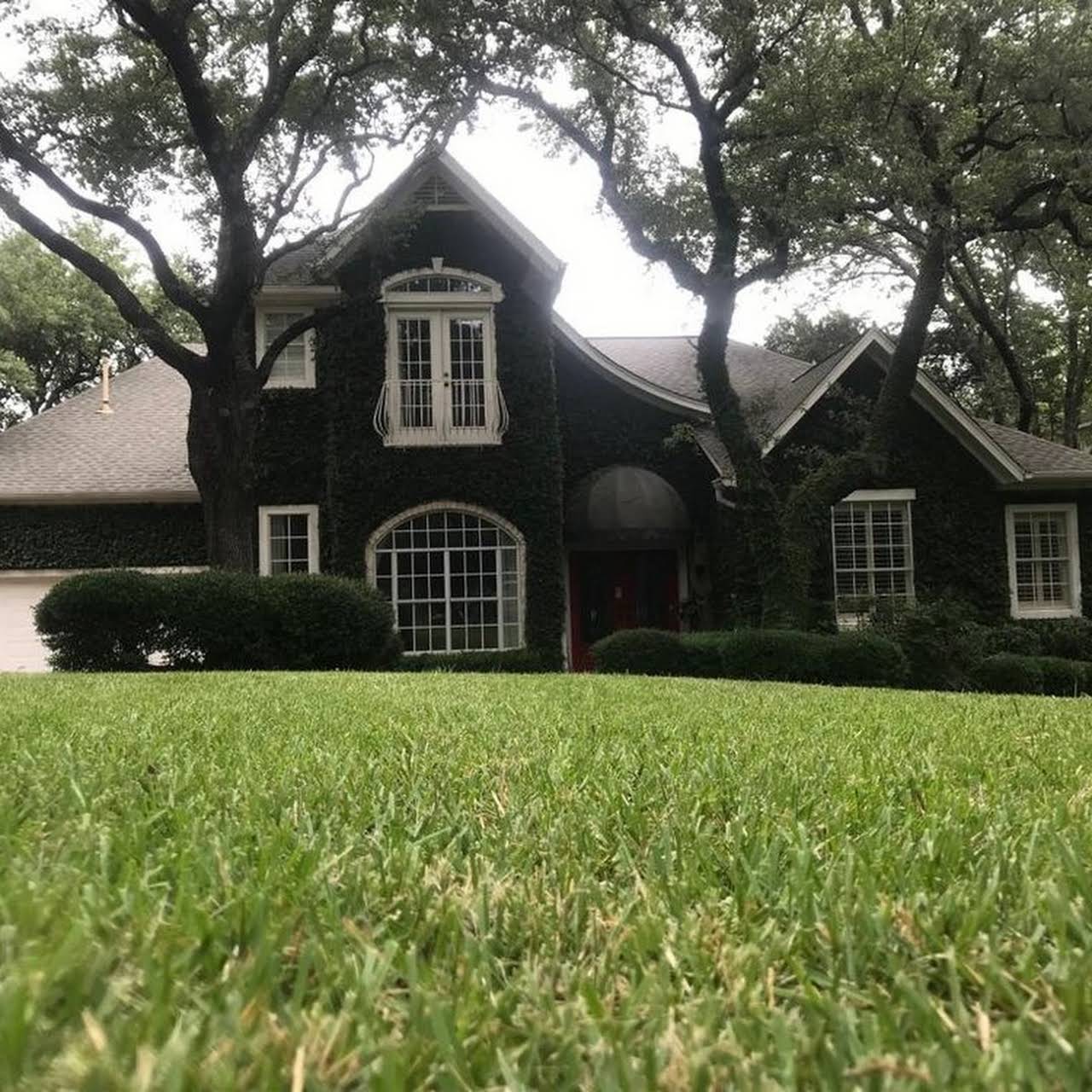 What month should I start treating my grass