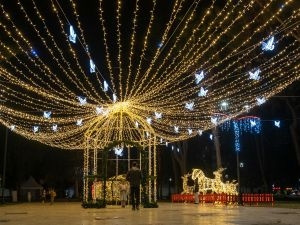 Highlight Your Gardens and Walkways at Night Astoria Lighting Co Highlight Your Gardens and Walkways at Night