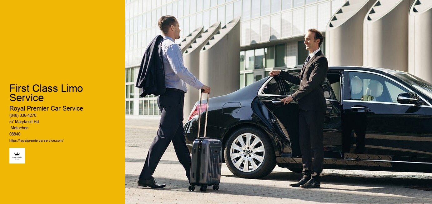 12 Passenger Van Limo Service