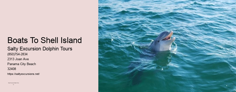 Boats To Shell Island