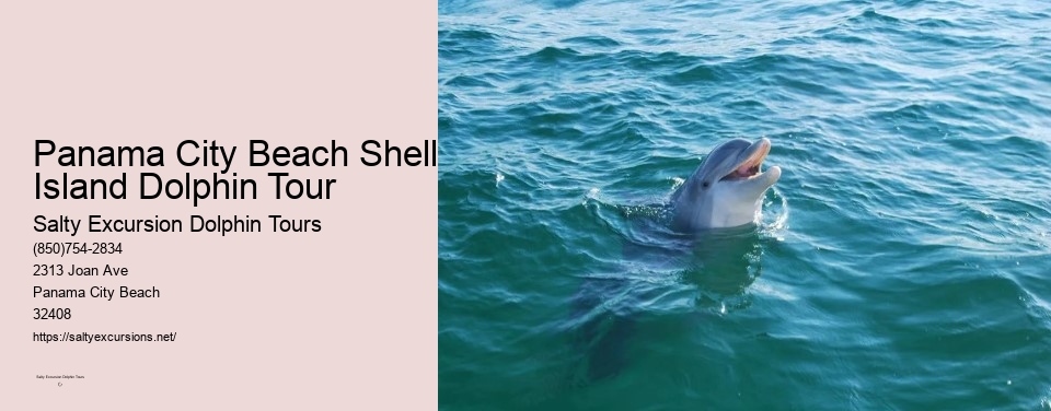 Panama City Beach Shell Island Dolphin Tour