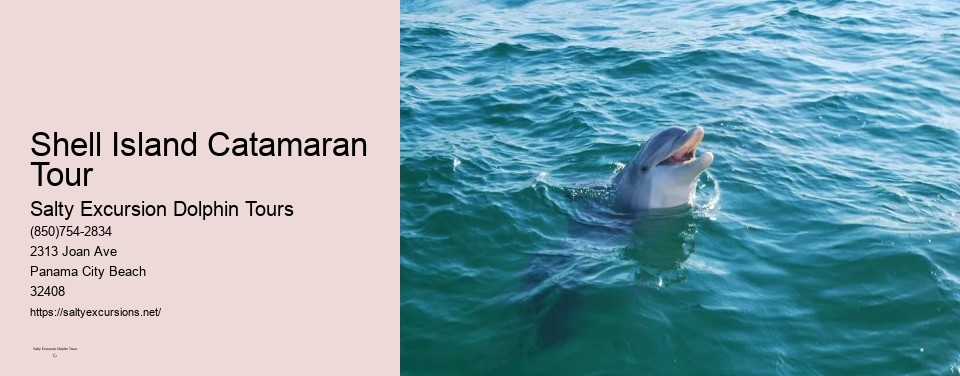 Shell Island Catamaran Tour