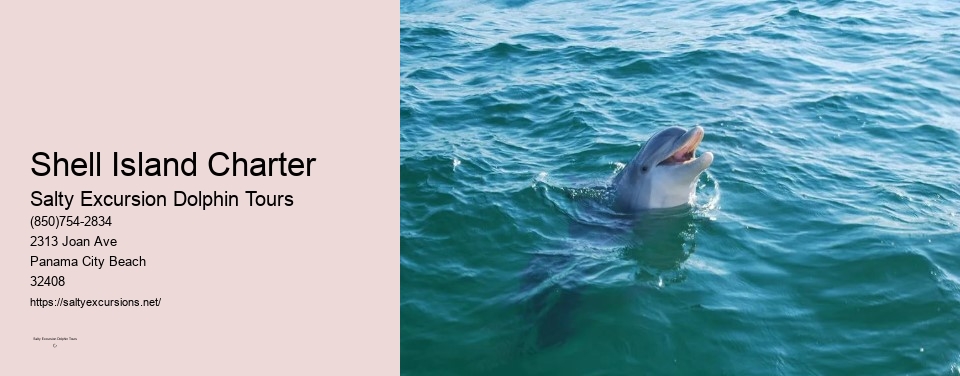 Shell Island Charter