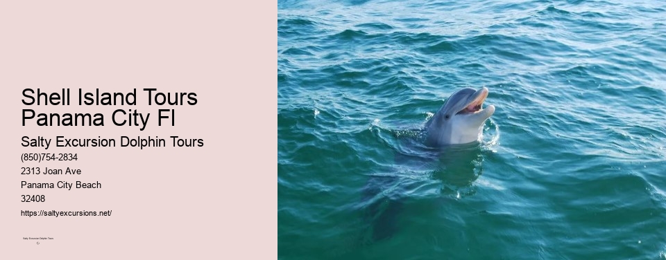 Shell Island Tours Panama City Fl