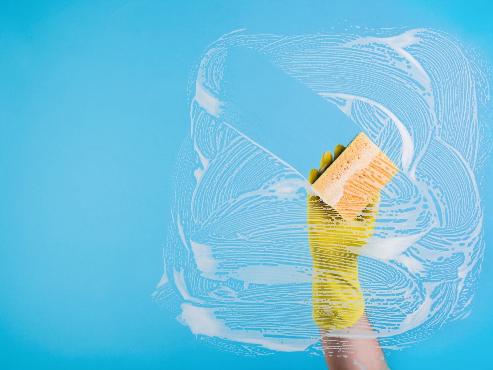 Complete House Cleaning for a Healthier Living Space Scrub Lou Complete House Cleaning for a Healthier Living Space