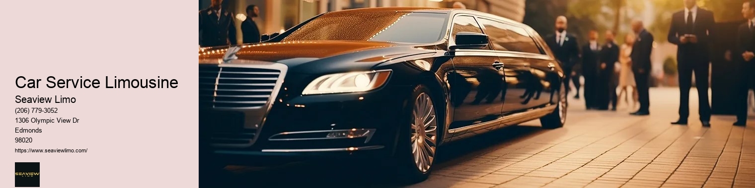 Car Service Limousine