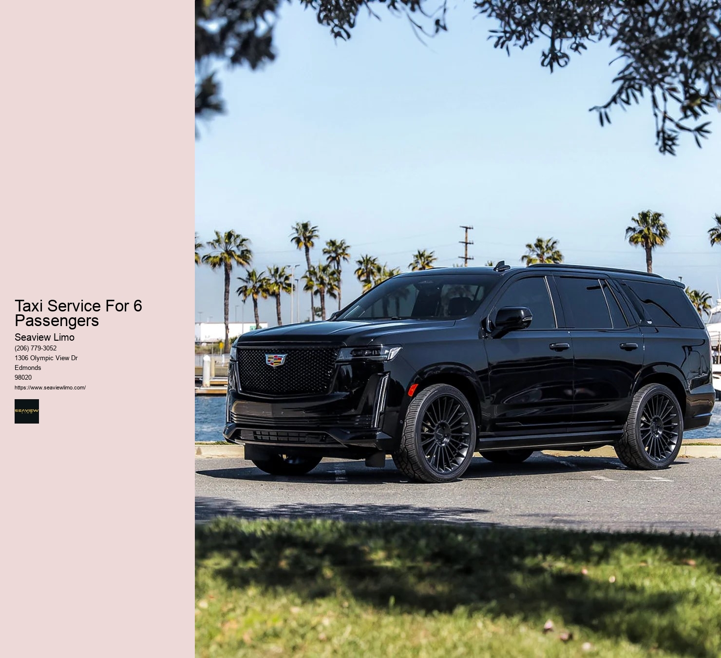 Private Suv Service