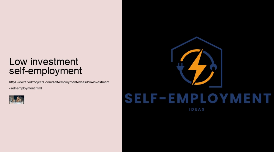 low investment self-employment