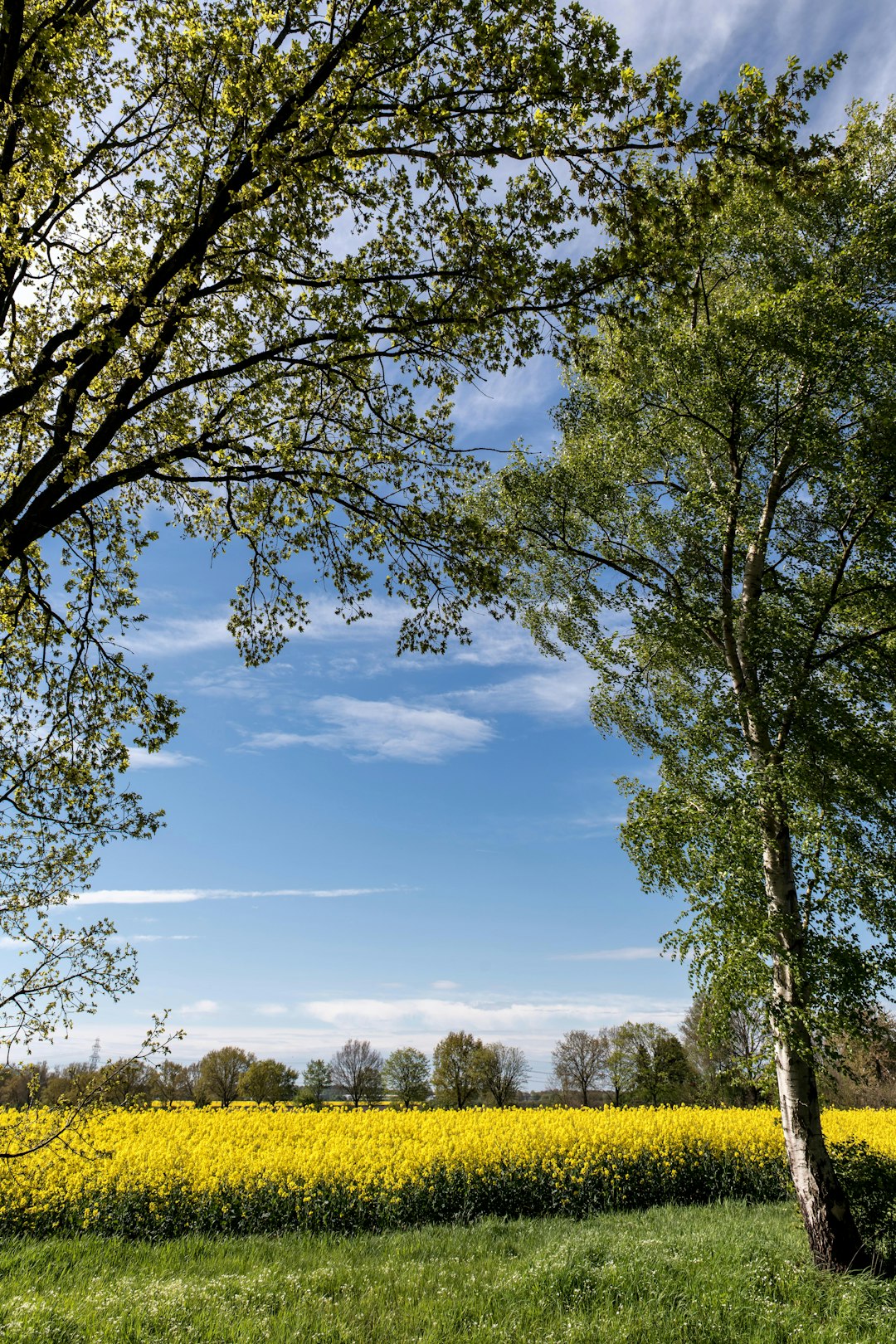 What is the typical time it requires to sell California land for money?