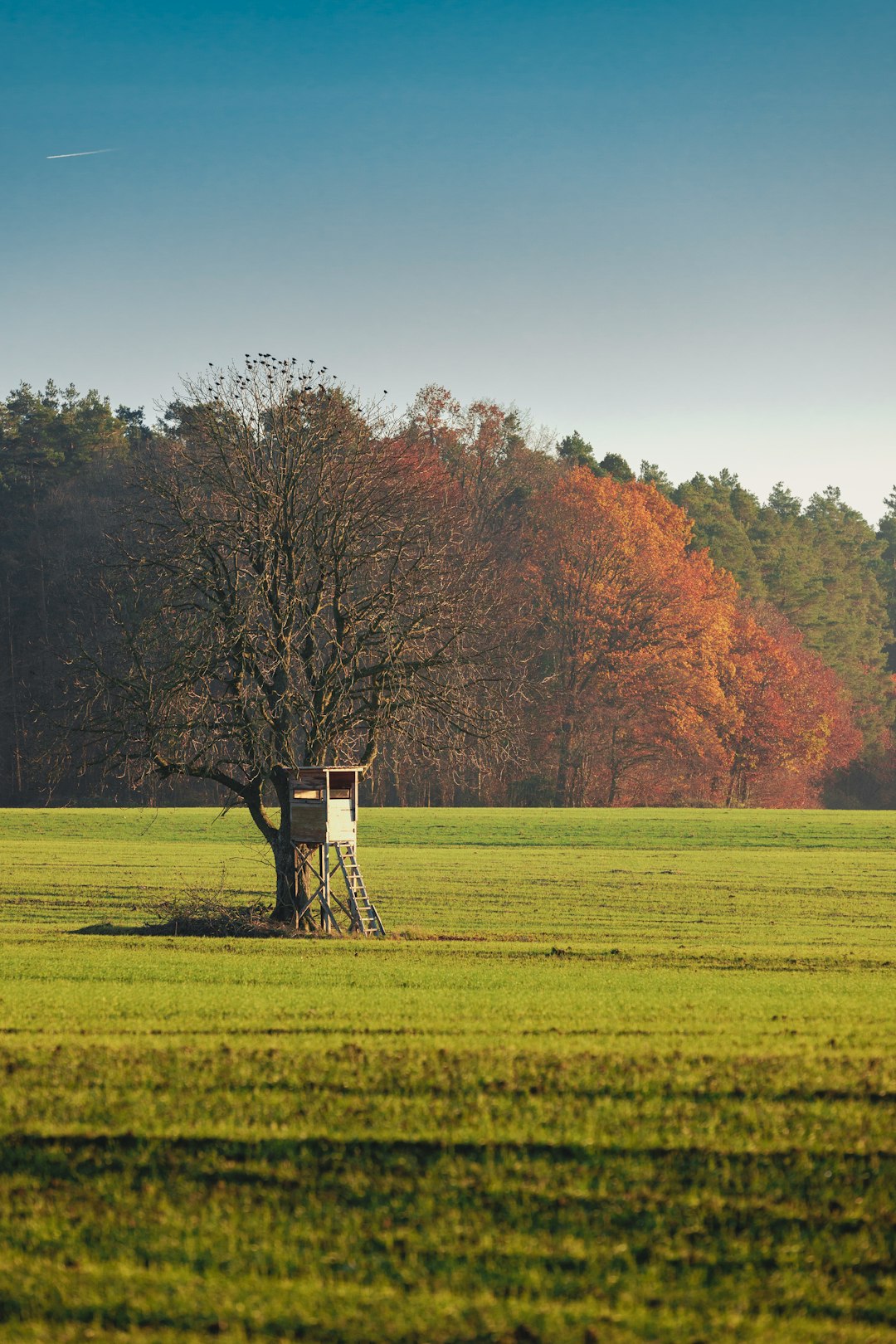 What is the very best means to discover customers for Connecticut land?