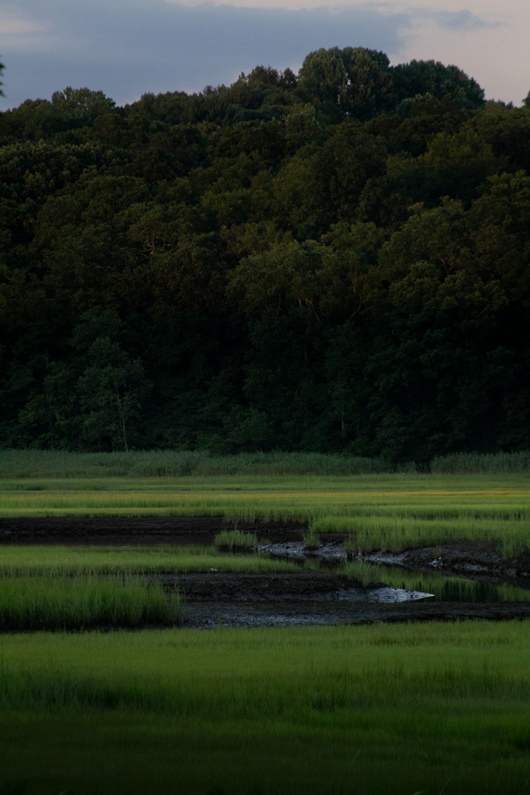 How to Identify the Worth of Your Oregon Land