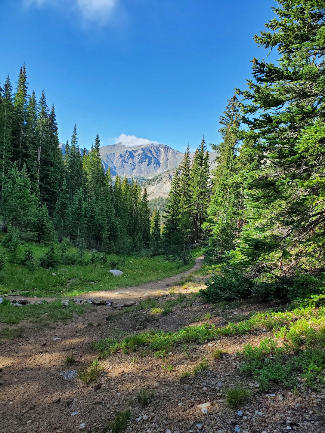 What is the need like for getting Wyoming land with money?