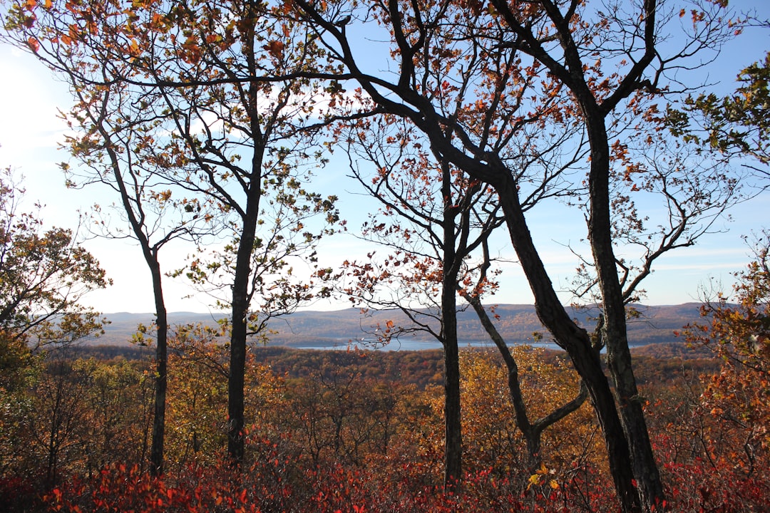 How to Unlock the Secret to Selling Ohio Land for Top Dollar