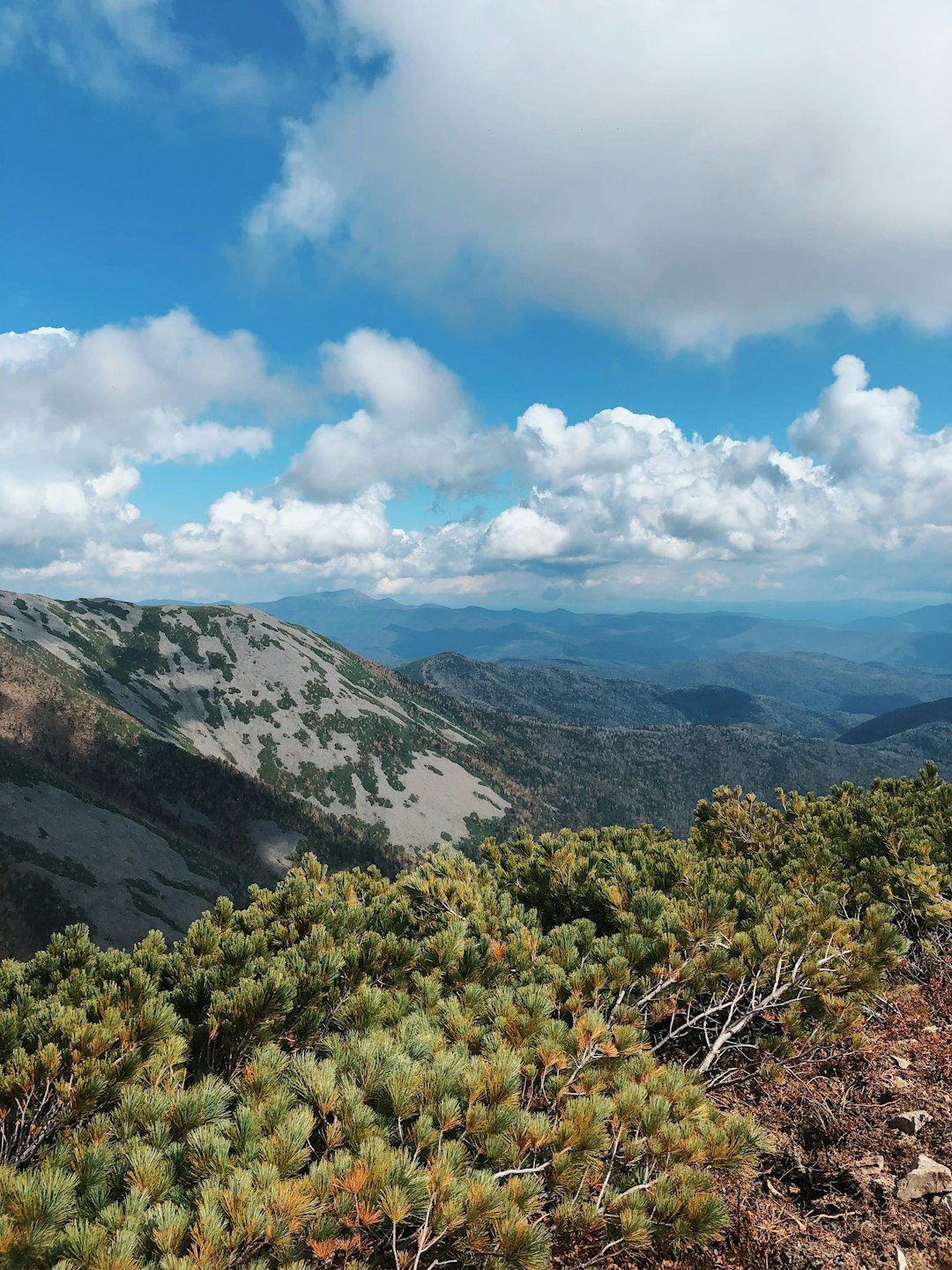 What is the most effective way to market Alaska land up for sale?