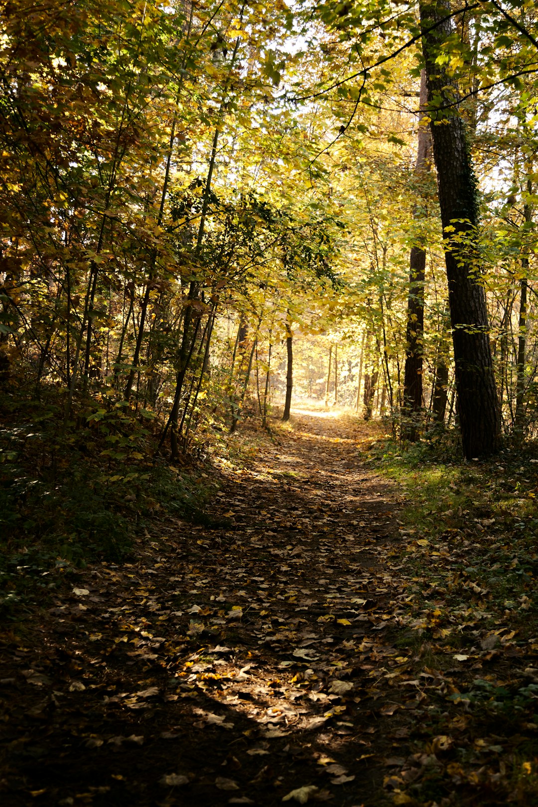 What is the best means to find buyers curious about buying Iowa land for cash money?