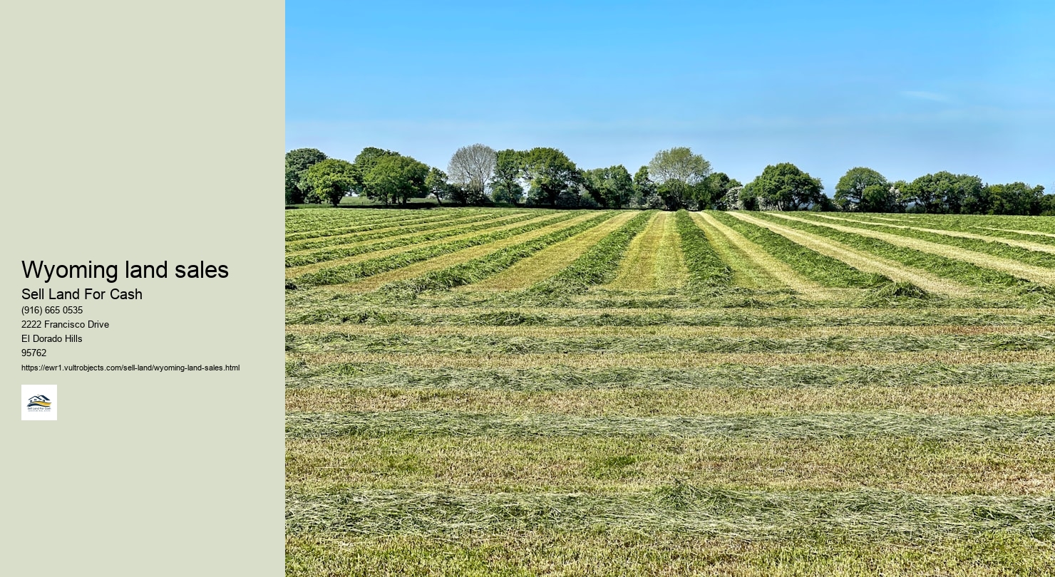 Wyoming land sales