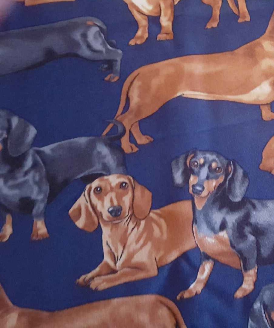 Doxie Apron