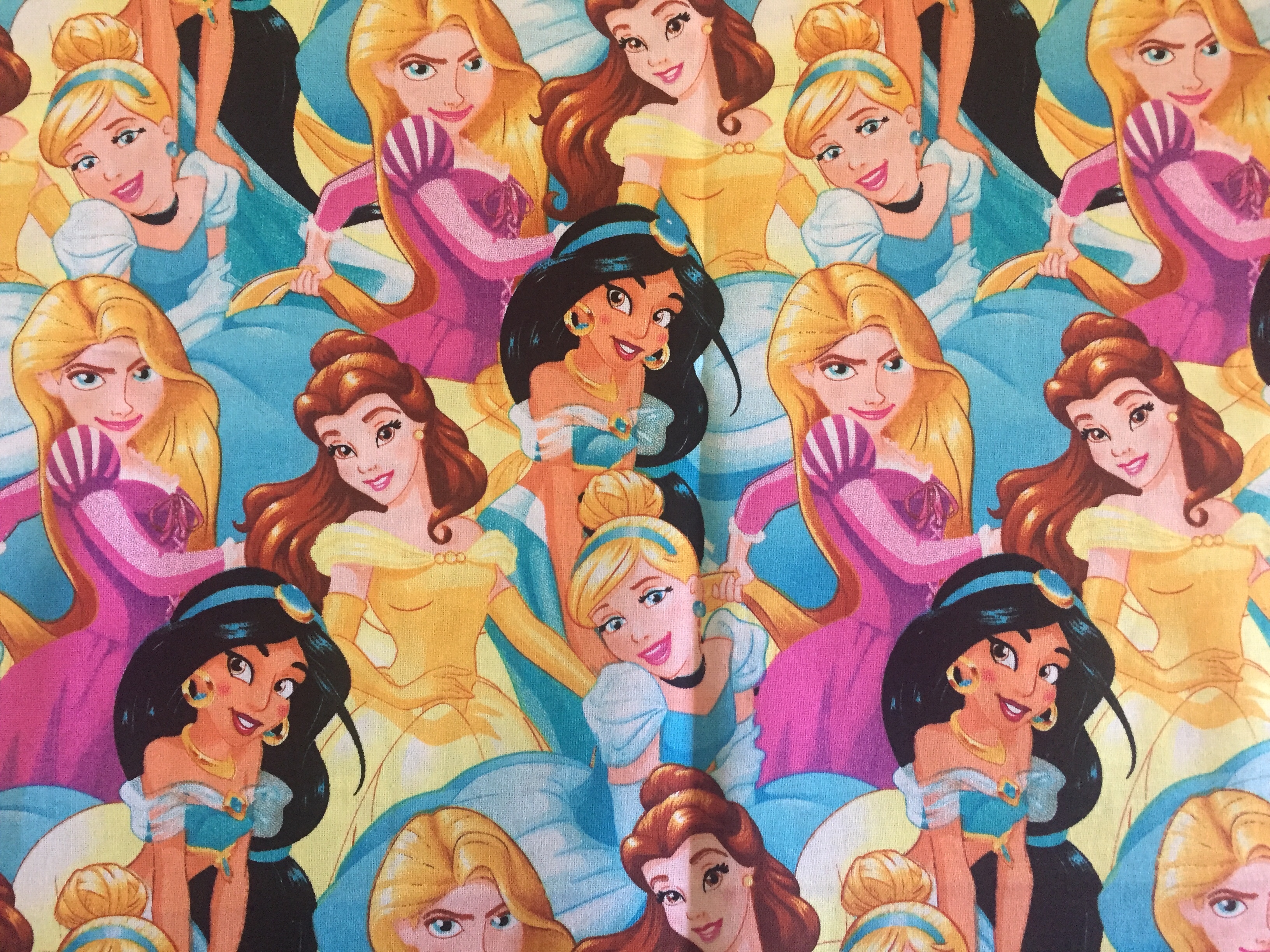 Princesses Apron