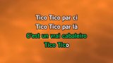 Tico Tico-0