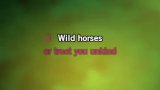 Wild Horses-0