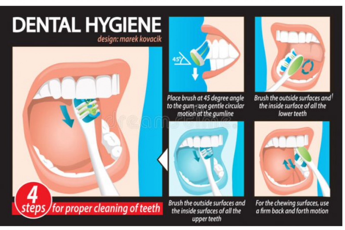 Mastering the Basics: Proper Toothbrushing Techniques for Oral Health