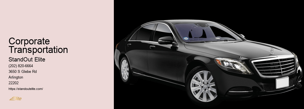 Private Luxury Black Car Service