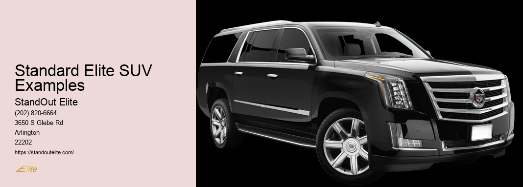 StandOut Elite Limousine Service