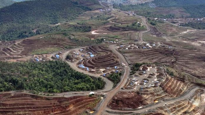 Belantara Rimba Raja Ampat kini tinggal cerita 9