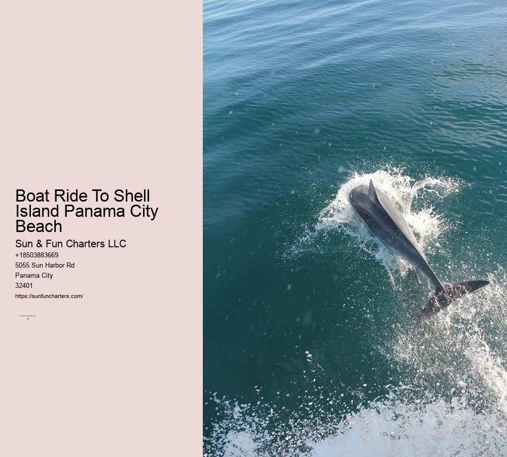 Shell Island Tours Panama City Beach Florida