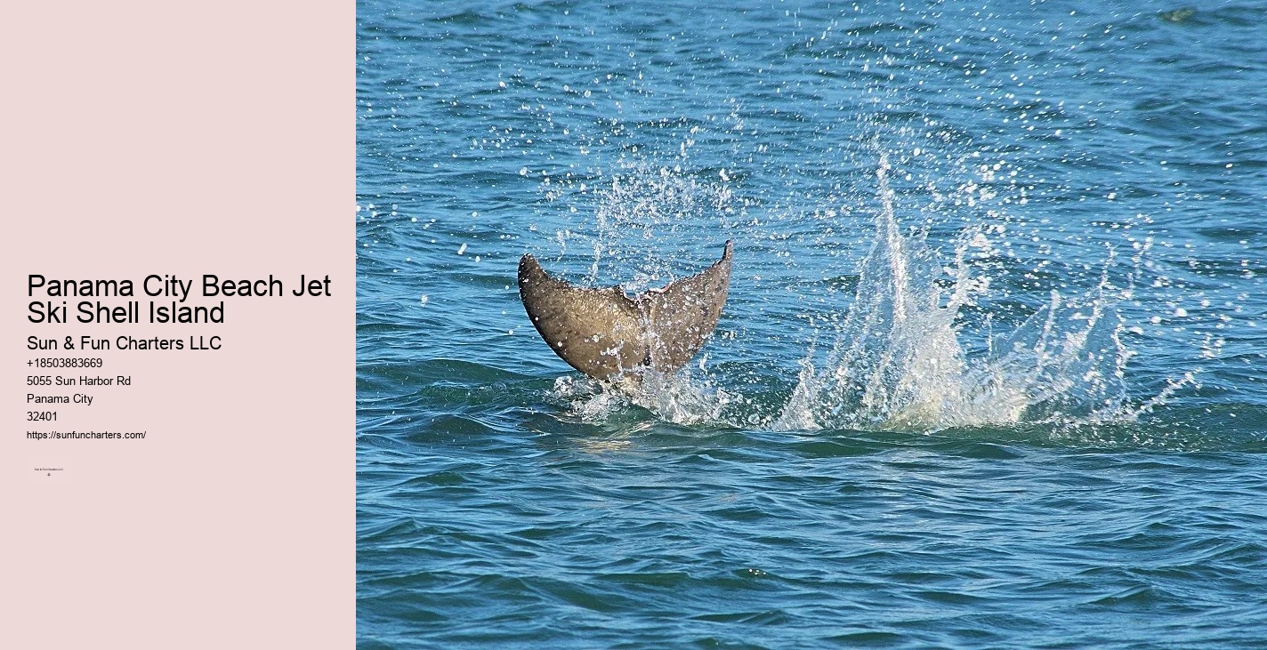 Panama City Beach Boat Tours To Shell Island