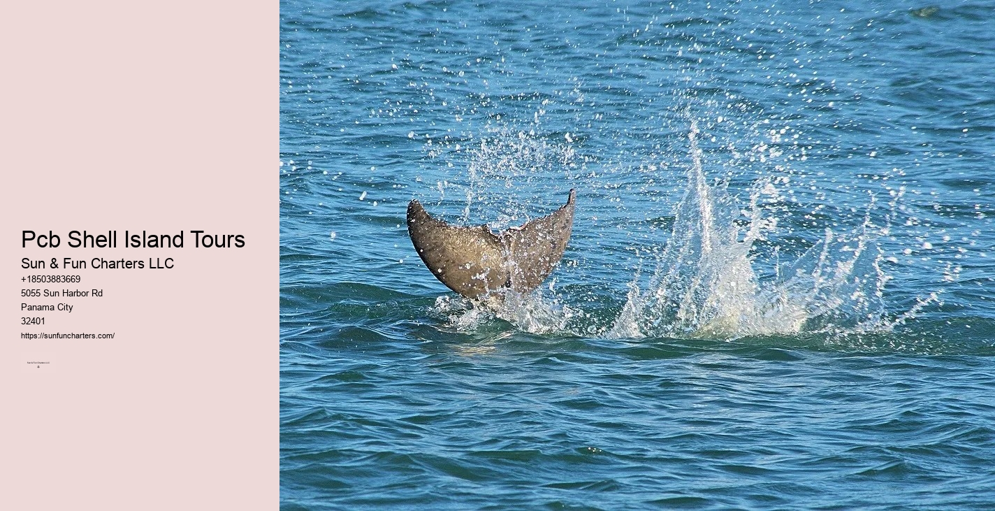 Shell Island Dolphin Cruise Panama City Beach
