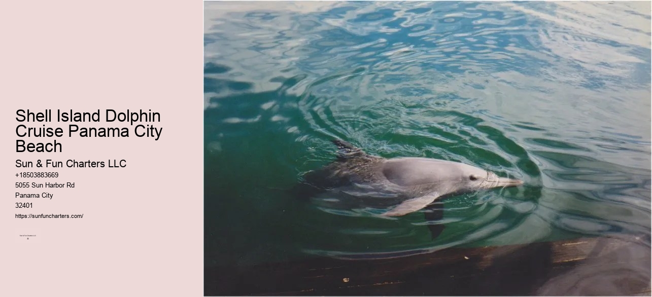 Shell Island Boat Tours Panama City Beach