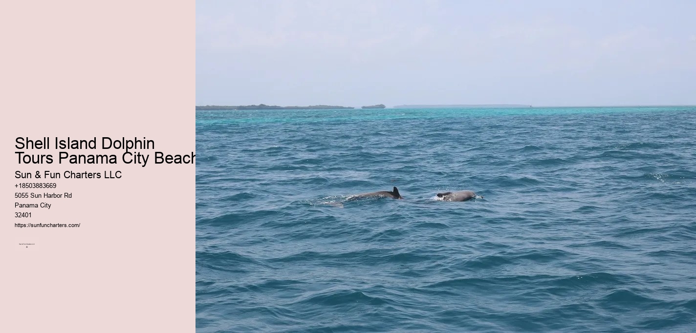 Shell Island Dolphin Tours Panama City Beach