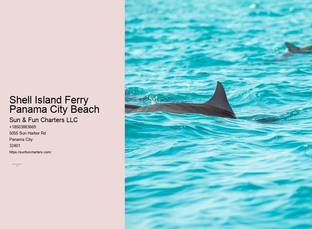 Shell Island Adventures Panama City Beach