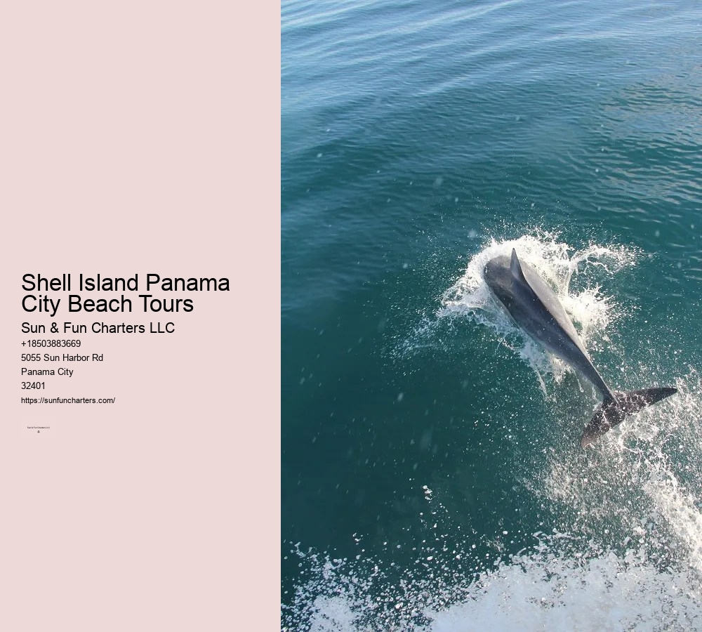 Shell Island Beach Tours Panama City Beach