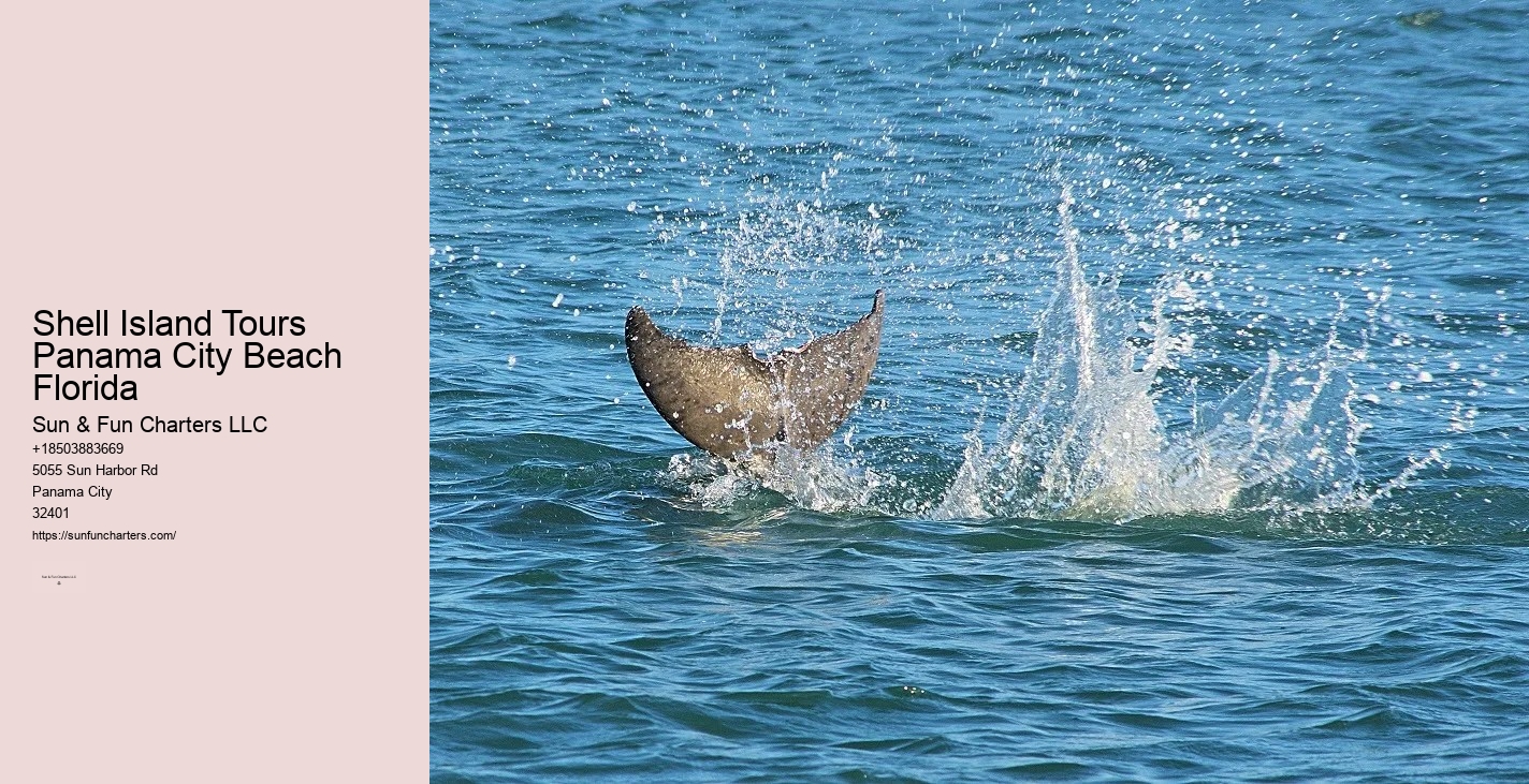 Panama City Beach Boat Tours To Shell Island