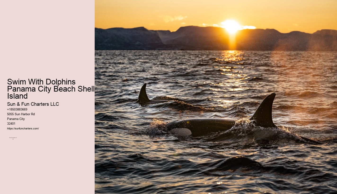 Panama City Beach Boat Tours To Shell Island