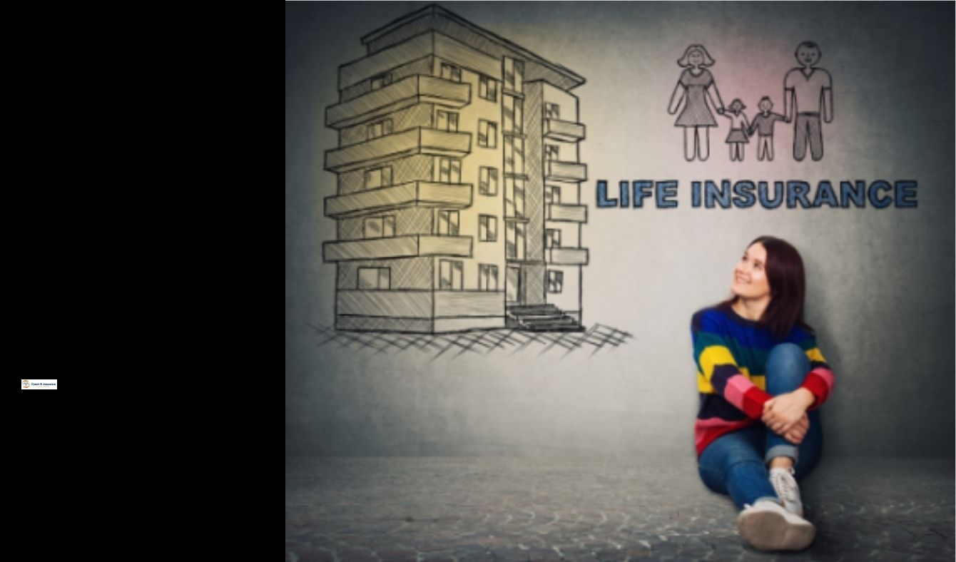 Term life insurance