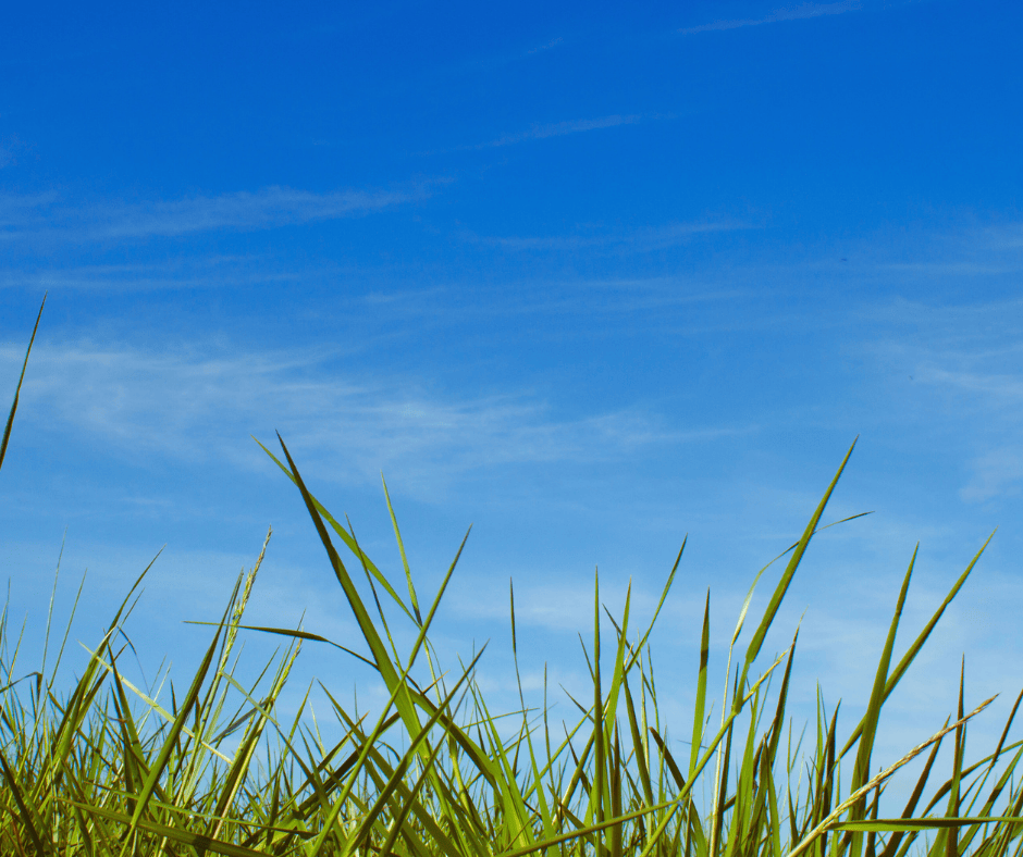 Finding Fast Emergency HVAC Repair in Atlanta and Alpharetta