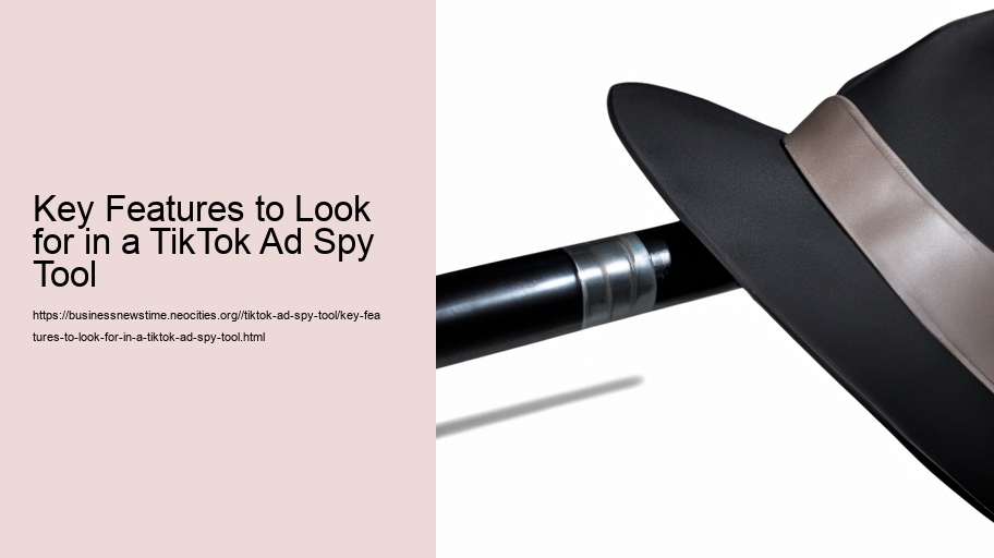 Key Features to Look for in a TikTok Ad Spy Tool