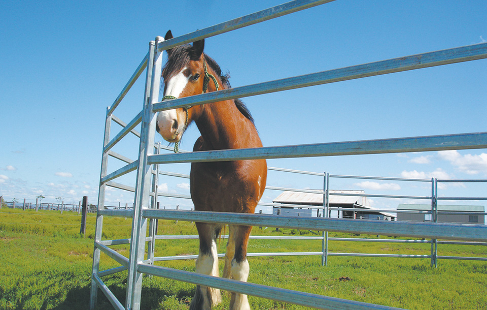 1.8m High With 6bars/rails Welded Smooth Cattle Panel/livestock Panel For Animals from China