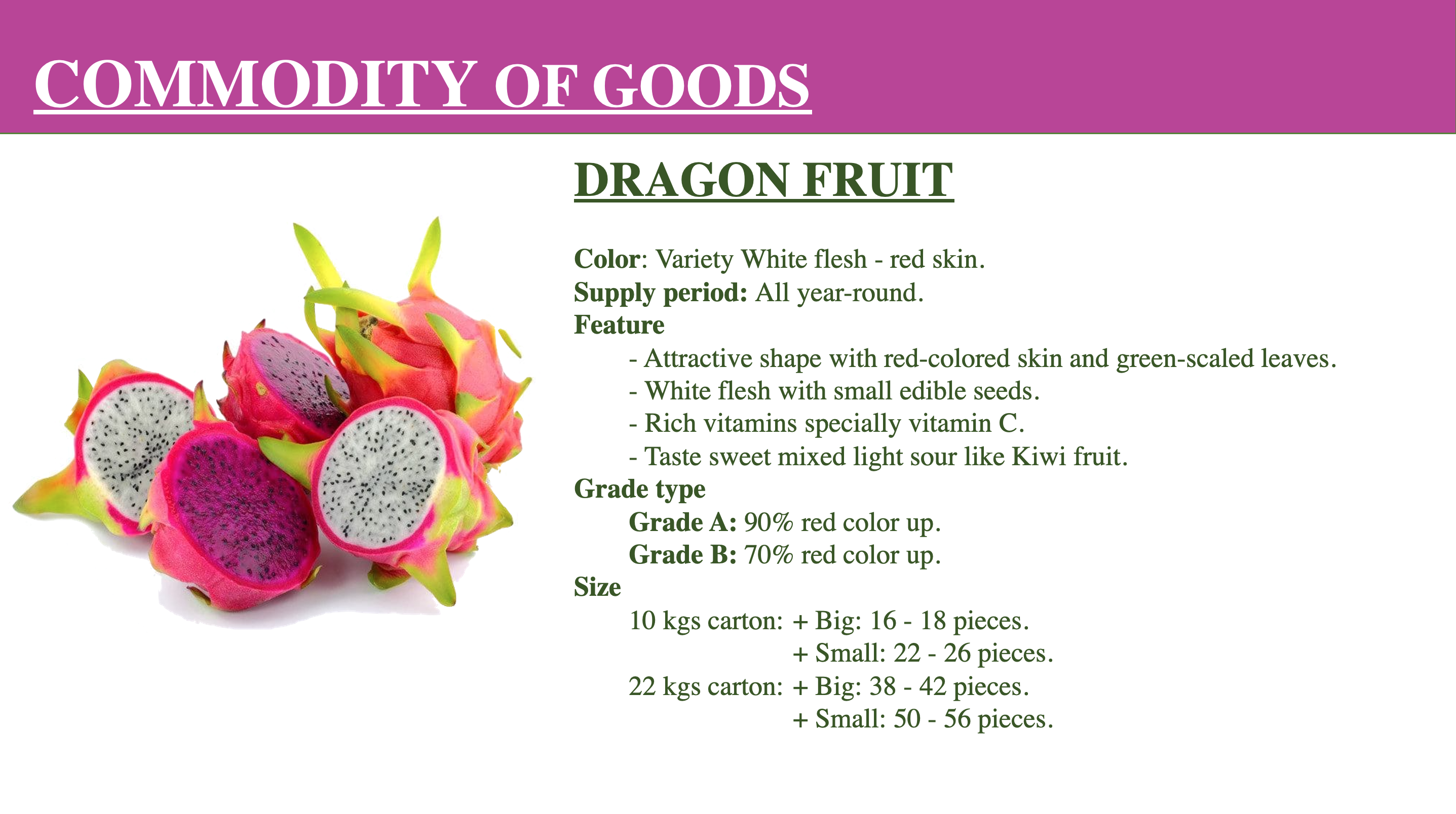 Top Quality Dragon Fruit Pitaya Rich Vitamin A from Vietnam ...