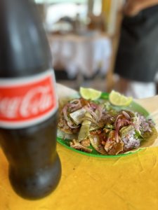 South Philly Barbacoa 필라델피아 타코 (TACO)맛집