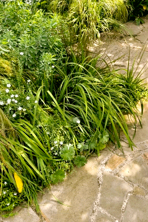 Mt Vic Drone Video 22